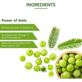 Dabur Amla Hair Oil